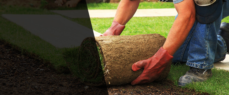 Mckeesport Landscapers